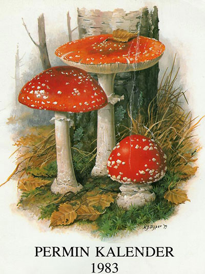 Схемы вышивки грибов. — 1983 г