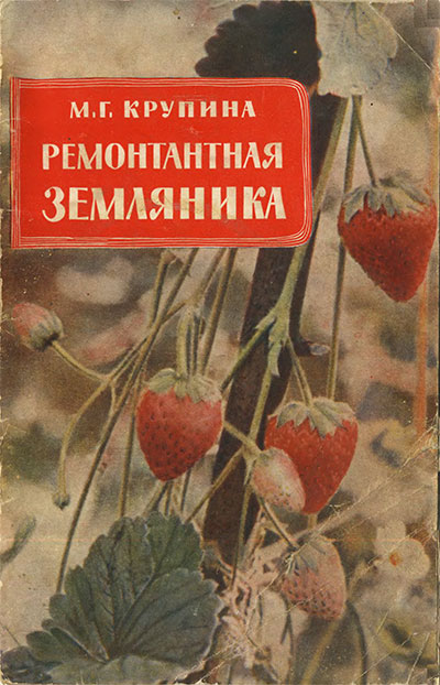 Ремонтантная земляника. Крупина М. Г. — 1961 г