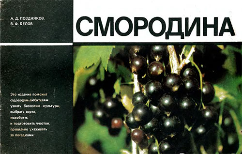 Смородина. Поздняков, Белов. — 1983 г