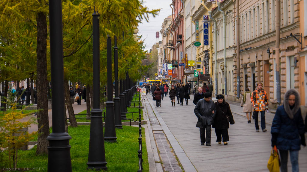 Линии Васильевского острова