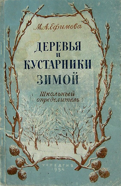 Деревья и кустарники зимой. Школьный определитель. Ефимова М. А. — 1954 г