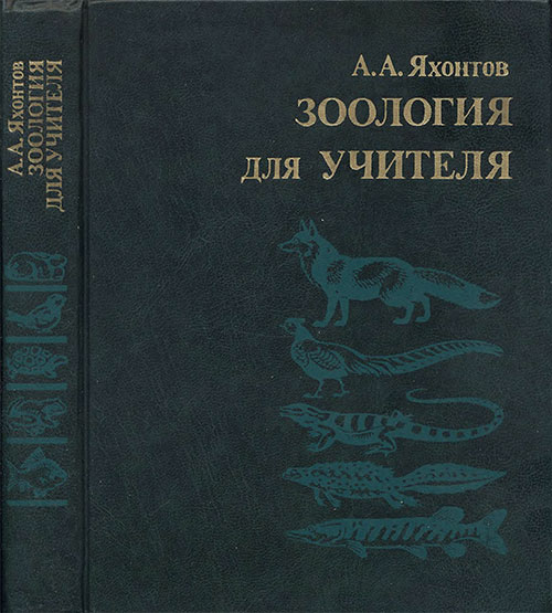 Зоология для учителя. Хордовые. Яхонтов А. А. — 1985 г