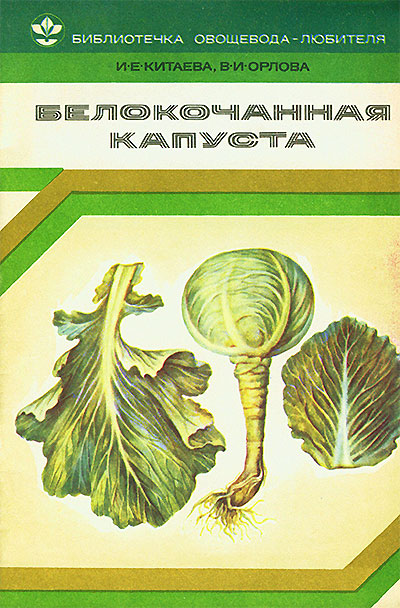 Белокачанная капуста. Китаева, Орлова. — 1980 г