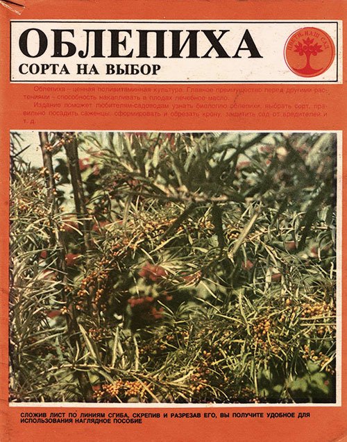 Облепиха. Сорта на выбор. Ульянова Д. — 1991 г