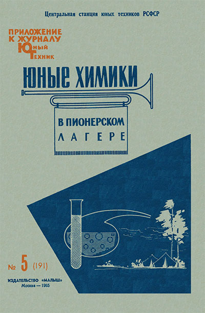 Юные химики в пионерском лагере. — 1965 г