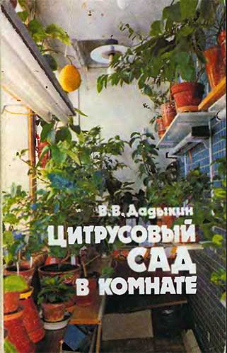 Цитрусовый сад в комнате. Дадыкин В. В. — 1991 г