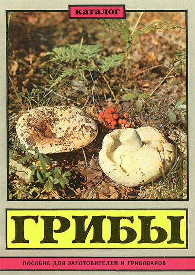 Грибы. Каталог, пособие для заготовителей и грибоваров. — 1990 г