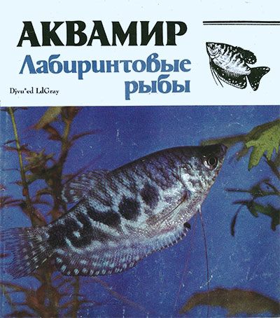 Лабиринтовые рыбы. Дацкевич Т. — 1992 г