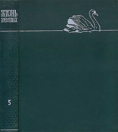 Жизнь животных. Том 5. Птицы. — 1970 г